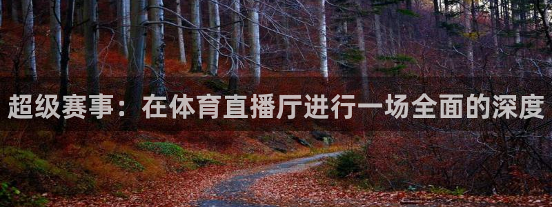 极速体育nba直播吧篮球：超级赛事：在体育直播厅进行一场全面的深度
