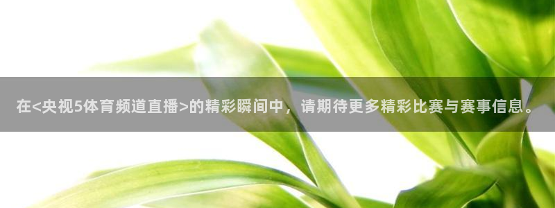 极速体育直播在线免费观看：在<央视5体育频道直播>的精彩瞬间中，请期待更多精彩比赛与赛事信息。