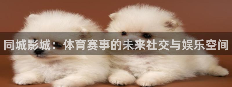 极速体育 直播：同城影城：体育赛事的未来社交与娱乐空间